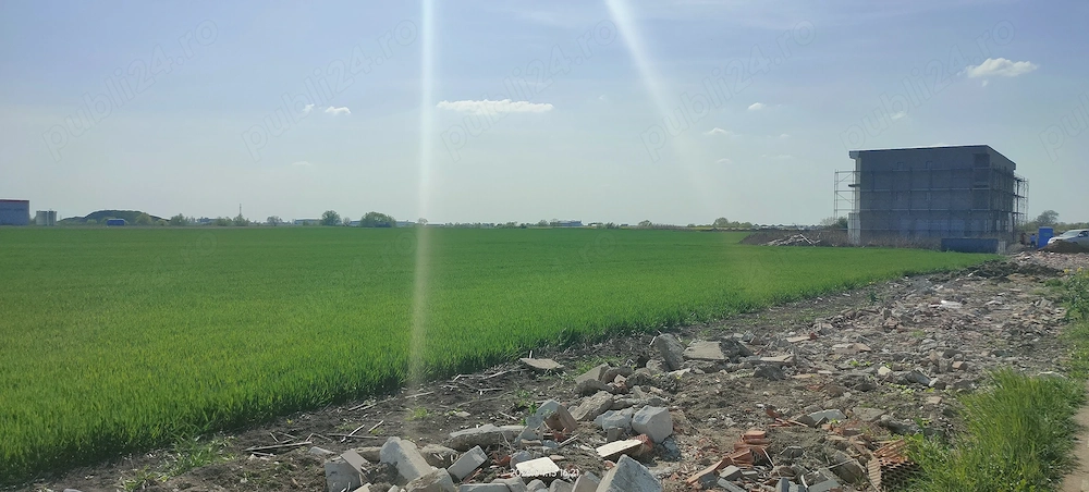 Teren construcție-hală Calea Aradului-Sânandrei de vânzare 