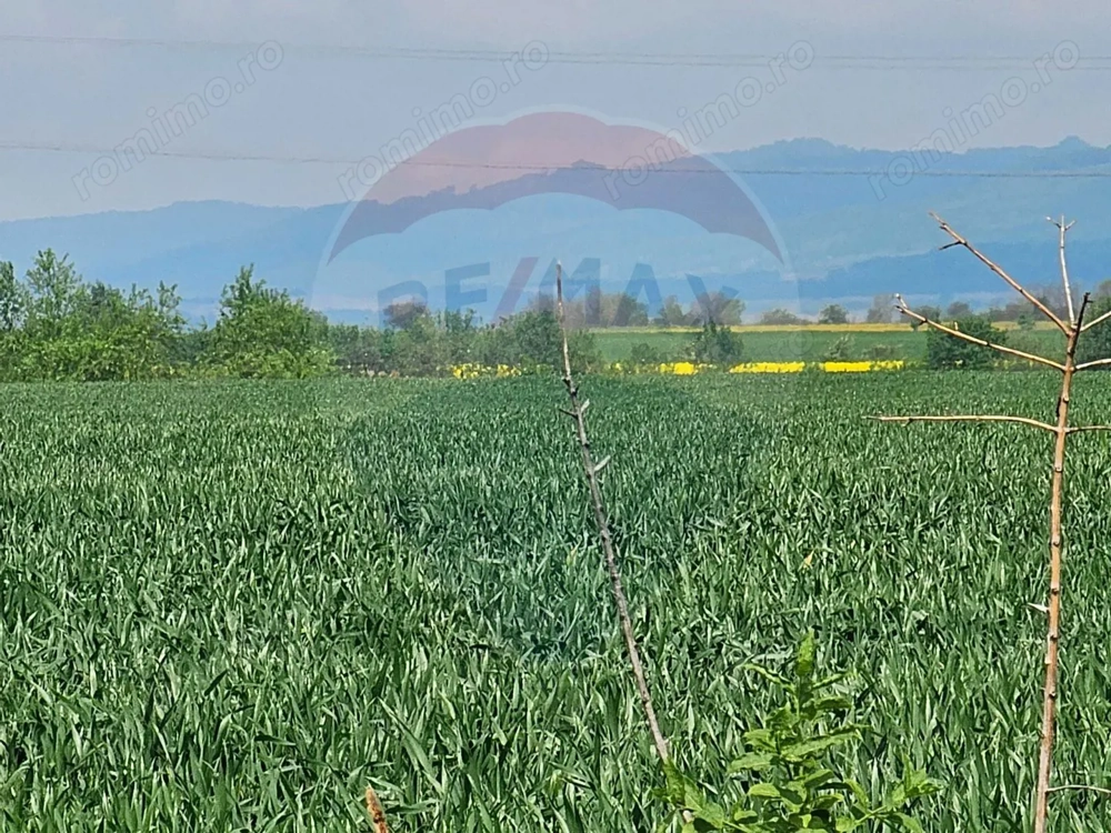 Teren 40,000mp irigabil Codlea / DJ 112A