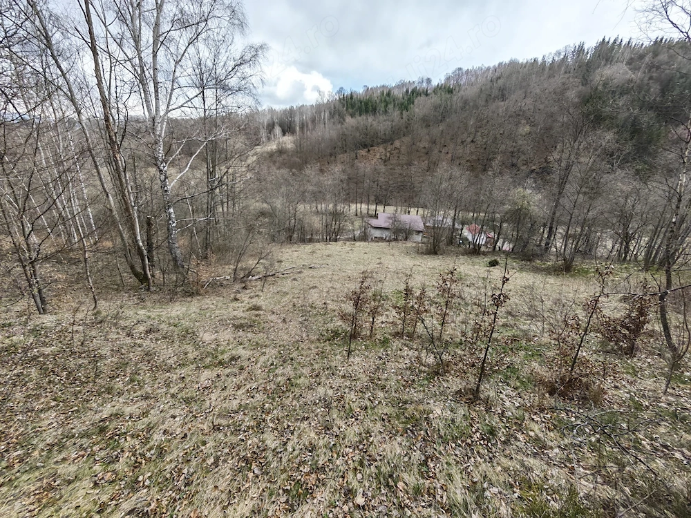 Teren superb 6.855 mp în Vulcan   Zona Schitul Sf. Nicolae