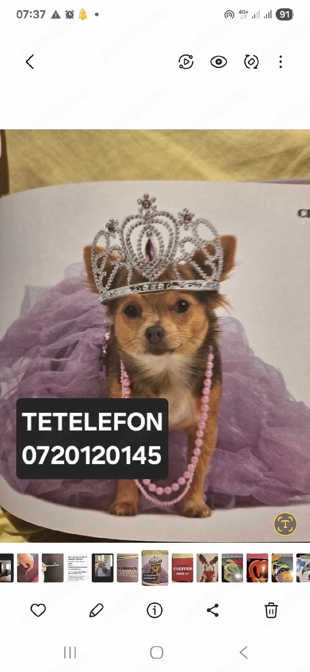 Egleza,48ron online, fizic