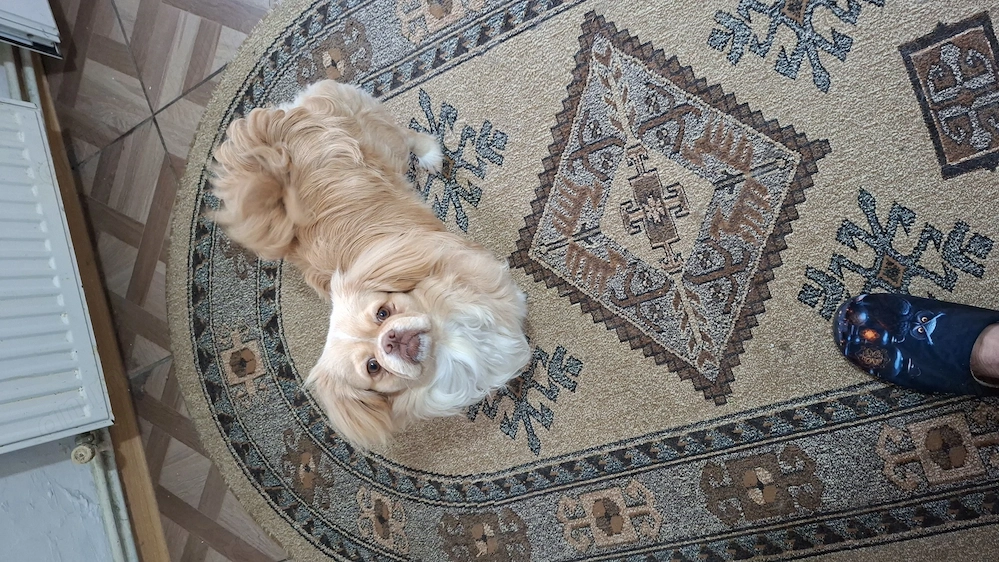 Vand pechinez imperial