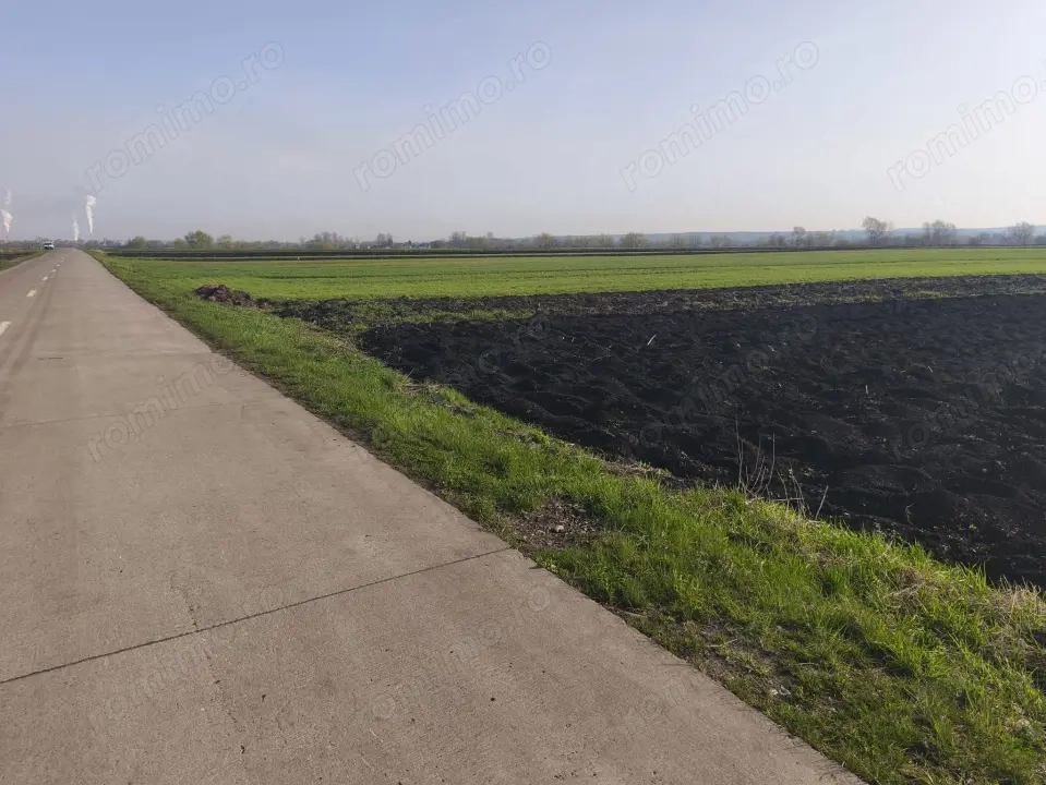 Teren extravilan, 9300mp, 55ml deschidere la drum, Satu Mare, Radauti