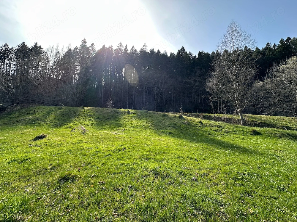 Vand 6888 mp in Putna Sv - ideal complex turistic   pensiune