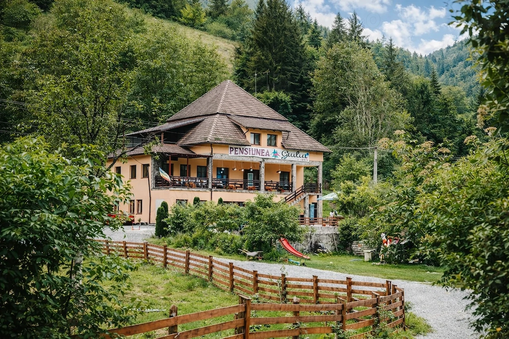 Vand pensiune functionala pe via Transapuseana