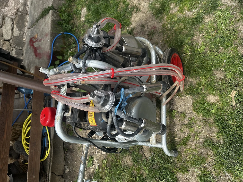 Văd mulgătoare de vacii 