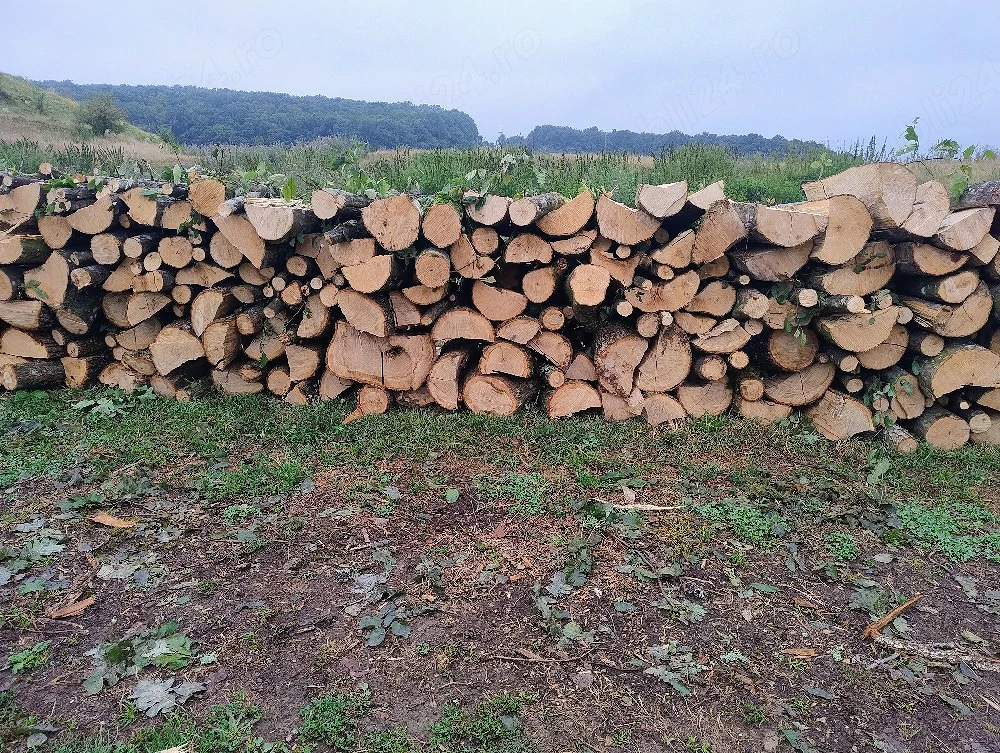 Vand lemne de foc esenta tare carpen si stejar 