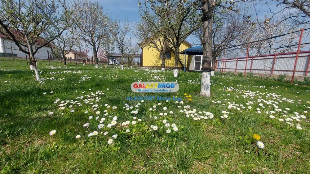 Casa cu teren 800 mp., la pret de apartament, Catamarasti Deal!