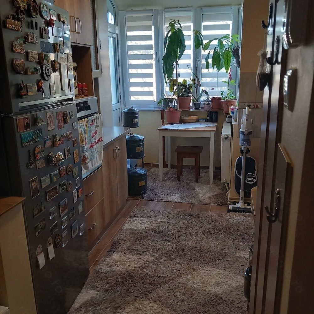 Apartament cu 2 camere de vanzare pe strada Careiului vizavi cu Nepi Shopping Plaza.