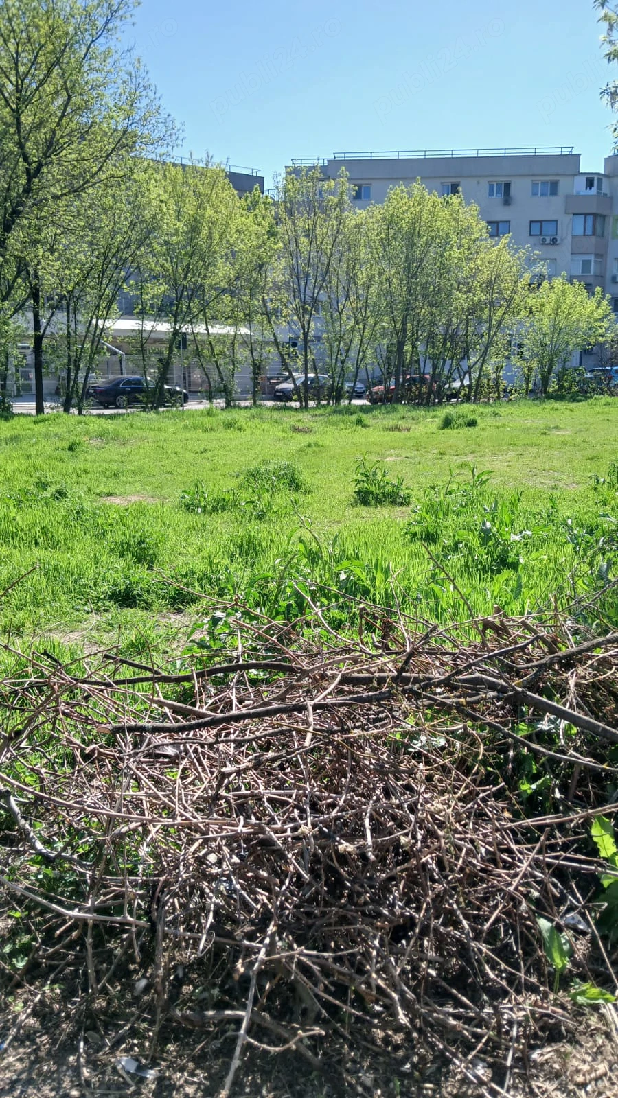 Herastrau - Aviatiei - str. Smaranda Braiescu, teren 1155 mp