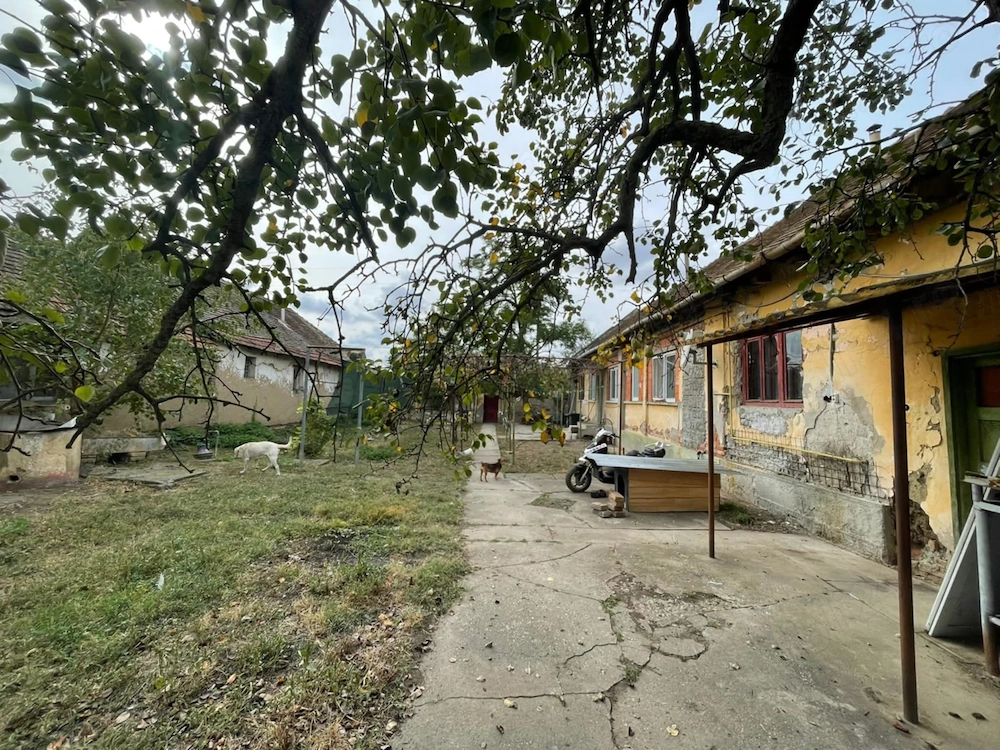 Casa de vanzare comuna voiteg jud timis