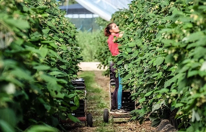 Locuri de munca Spania. Plecarii URGENTE 
