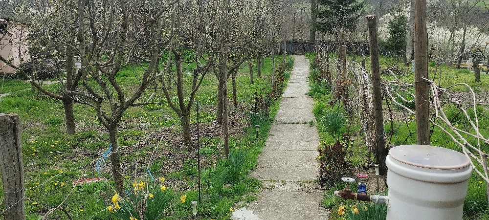  Casă Locuibilă Imediat 70 mp + 1640 mp, Utilități Complete   Racovițeni, Buzău