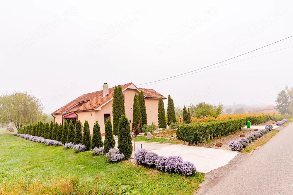 Vand casa 4 camere comuna Archis ID:RH-44676-property