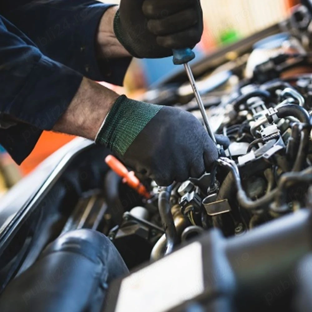 Mecanic auto - Locatie Eforie Nord