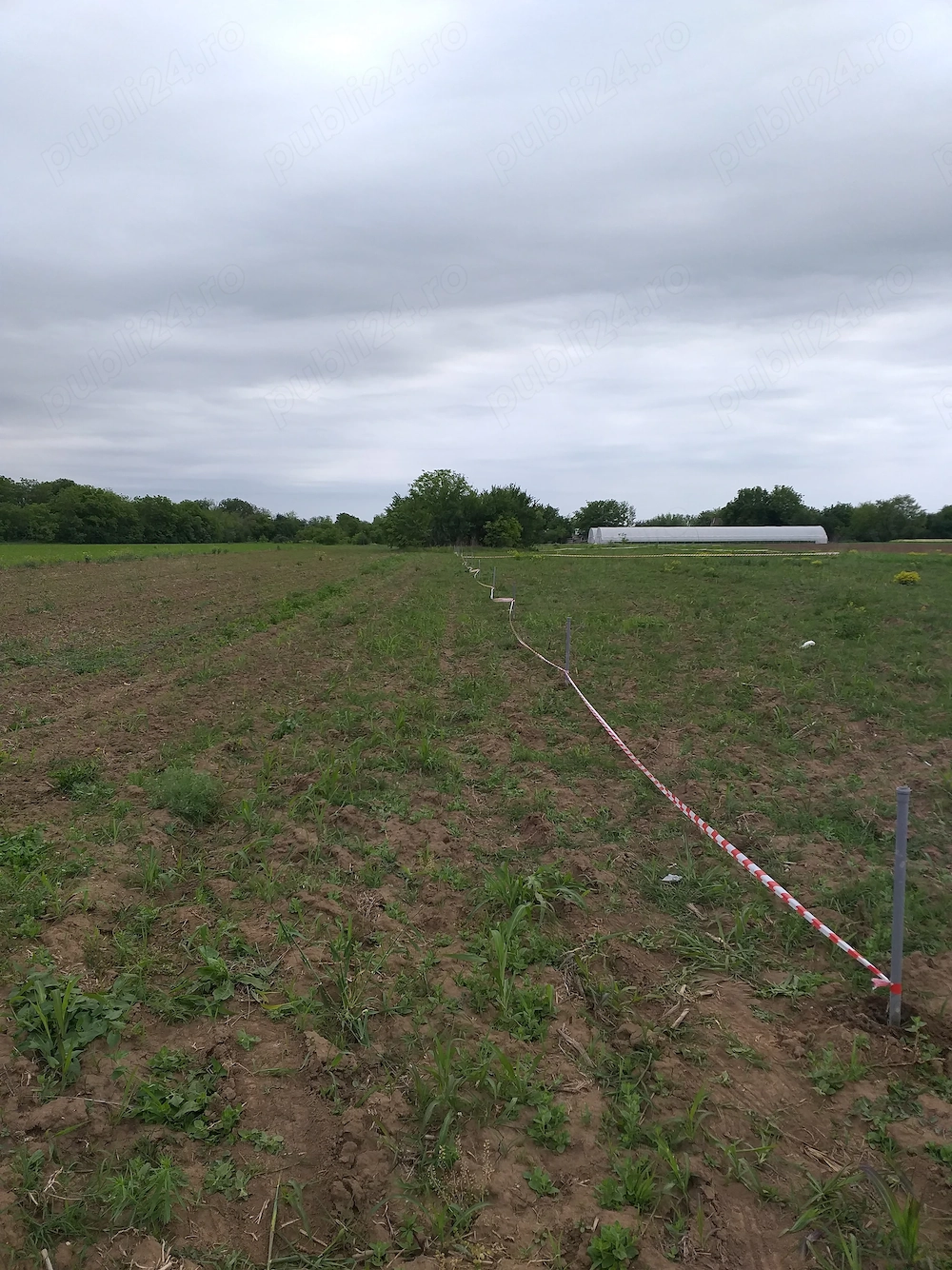 Teren intravilan 571 mp 