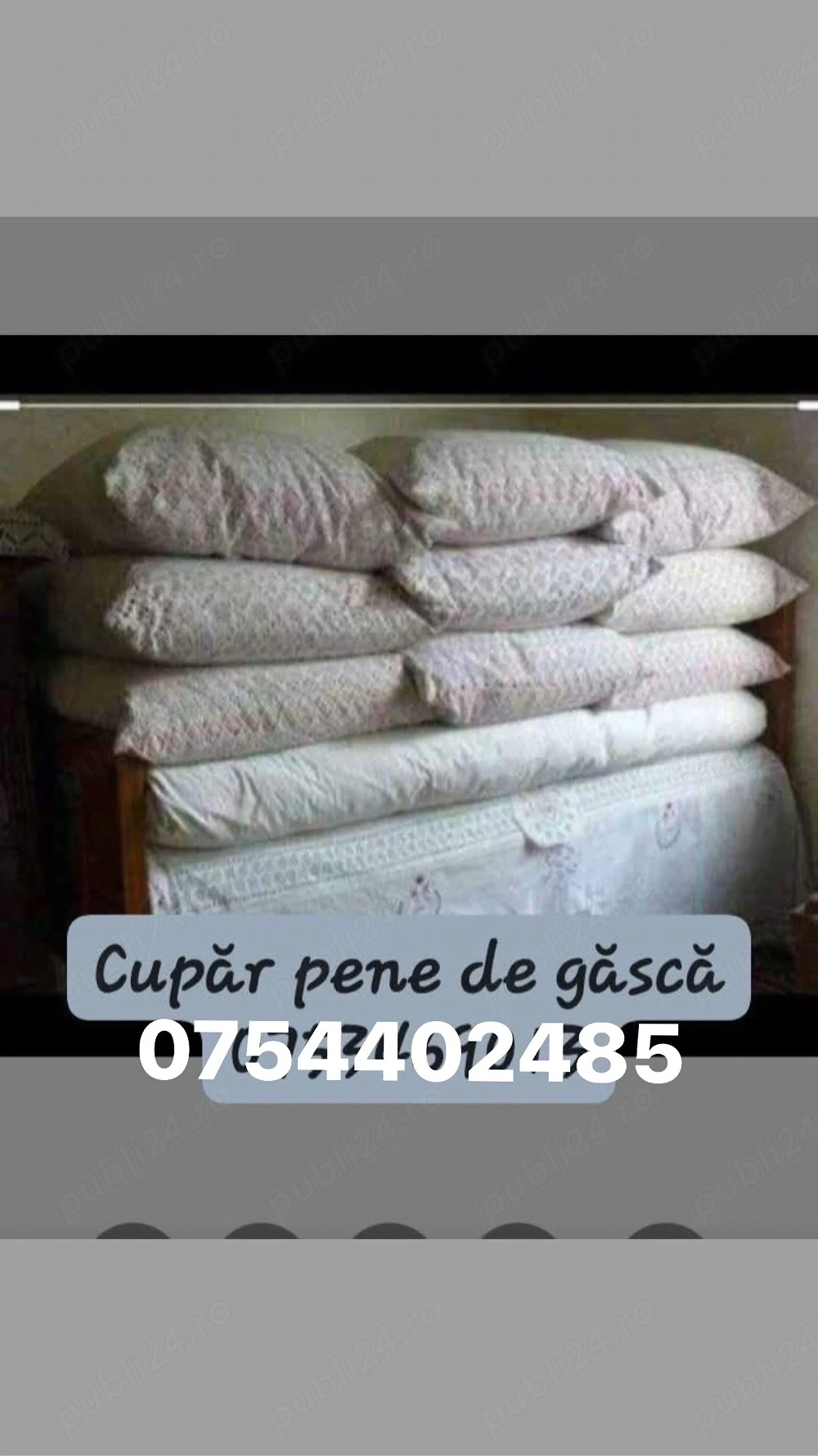 cupr pene de gâscă
