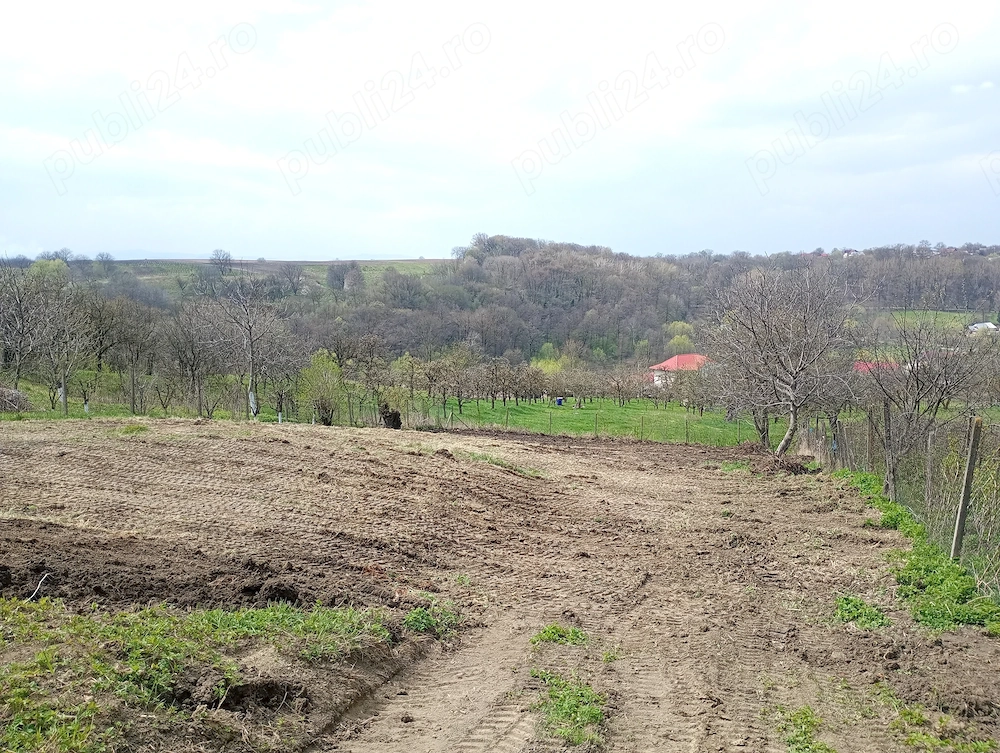 Teren intravilan in Radaseni 1587mp cu toate utilitatile