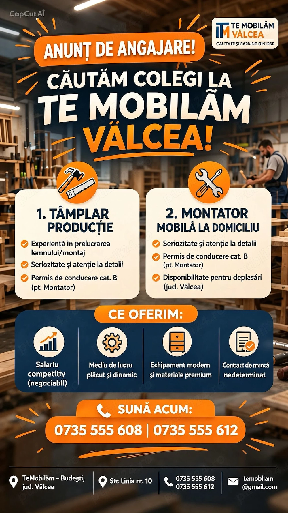 Angajez Tâmplar și Montator Mobilă 