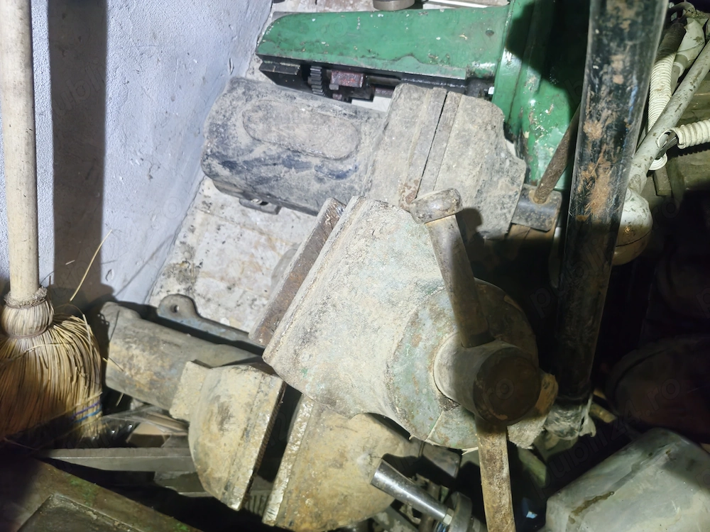 Vand mengina romaneasca 150 mm