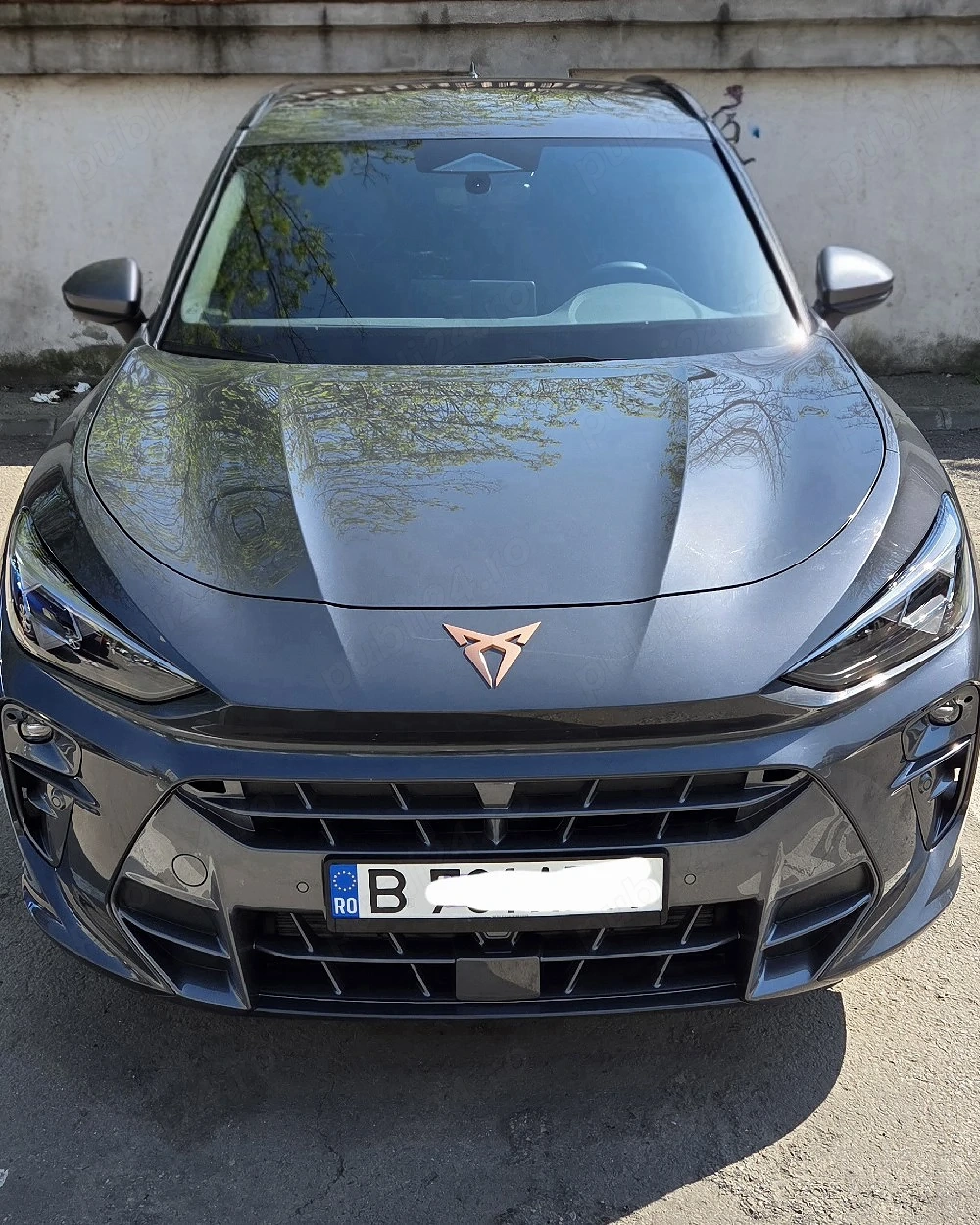 Cupra Terramar 