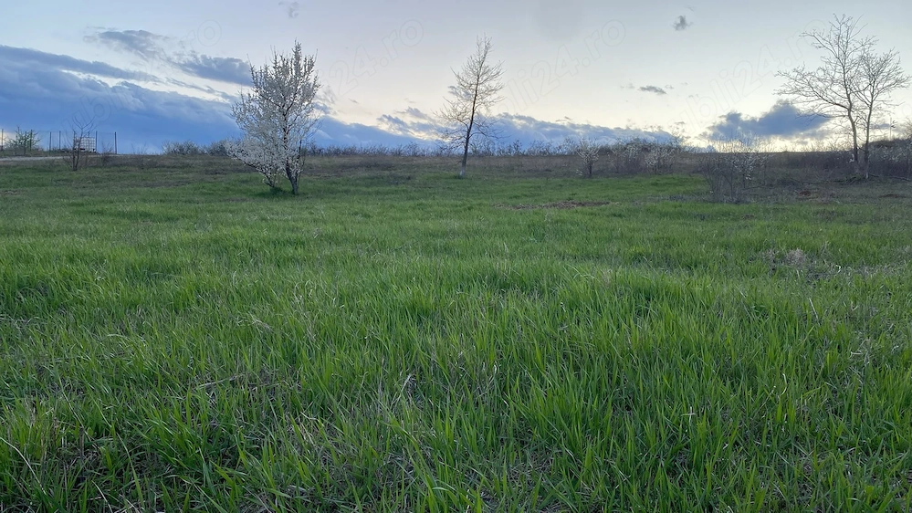 Vând teren extravilan (2026 intravilan)  2500 mp parcelabil zona hlincea lunca cetatuii