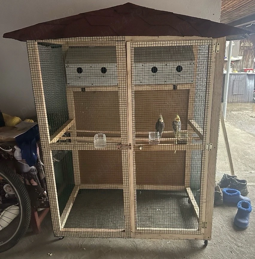 Voliera pentru papagali si pasari exocice