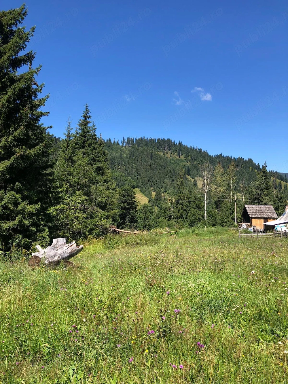 Teren intravilan   Gura Haitii, comuna Șaru Dornei, jud. Suceava - la 27 km de Vatra Dornei