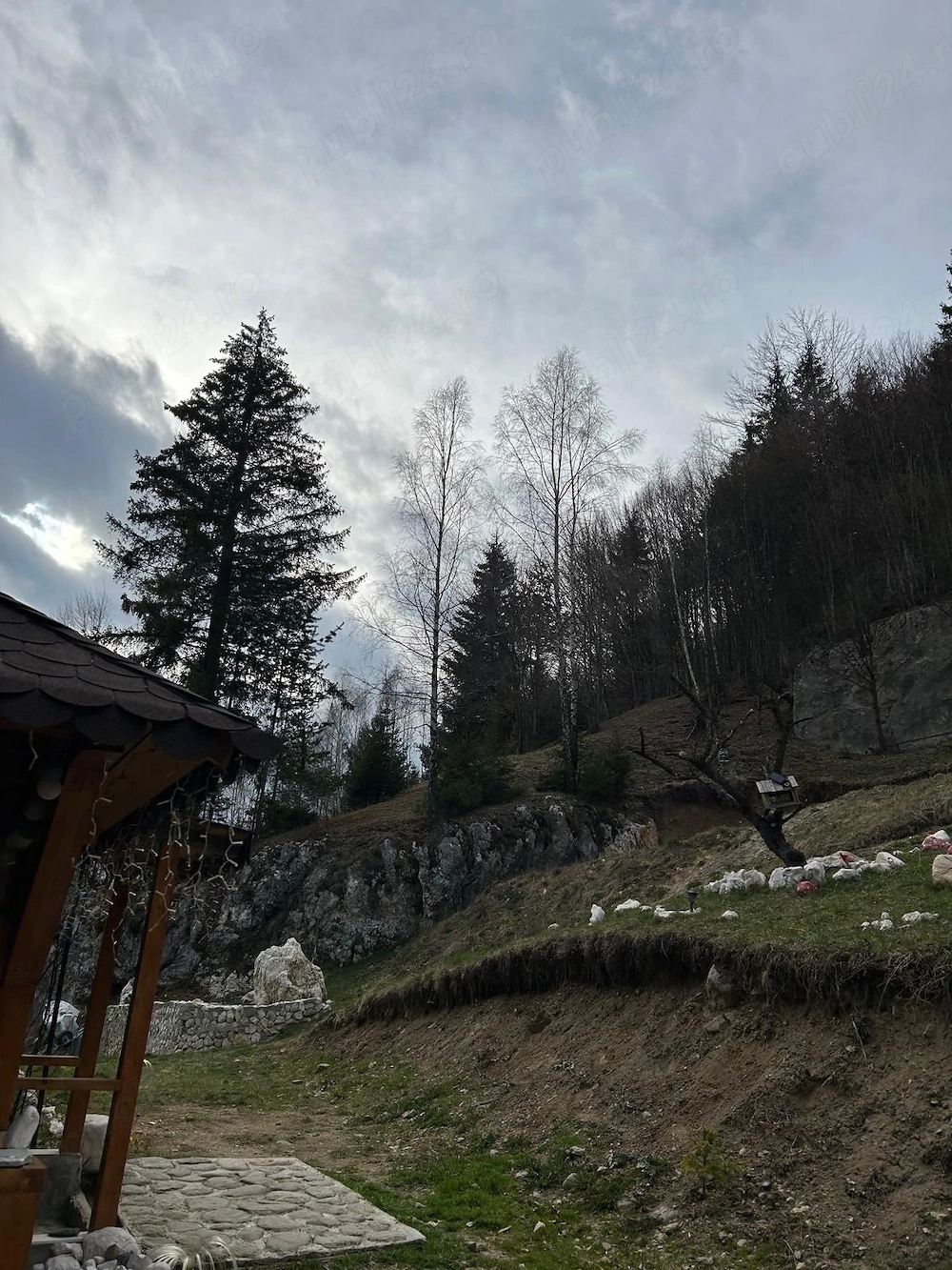 Teren de vanzare 