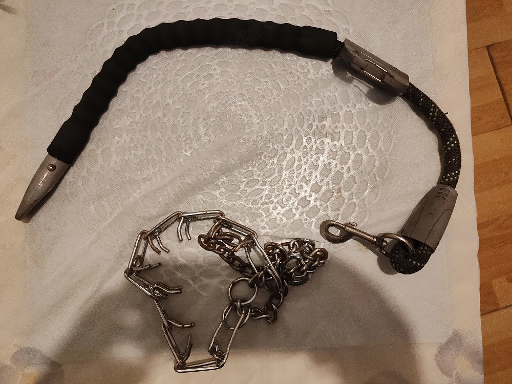 vând lesă + zgarda de forță la 130 de lei