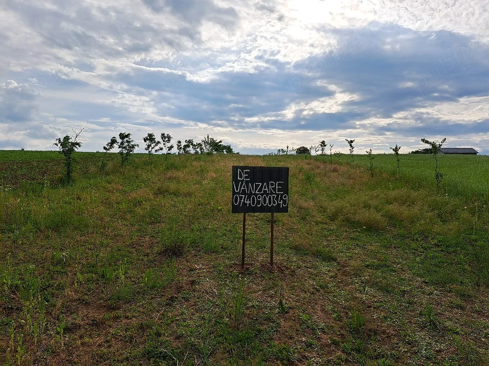2900m2 teren intravilan in comuna Ion Creanga jud Neamt 