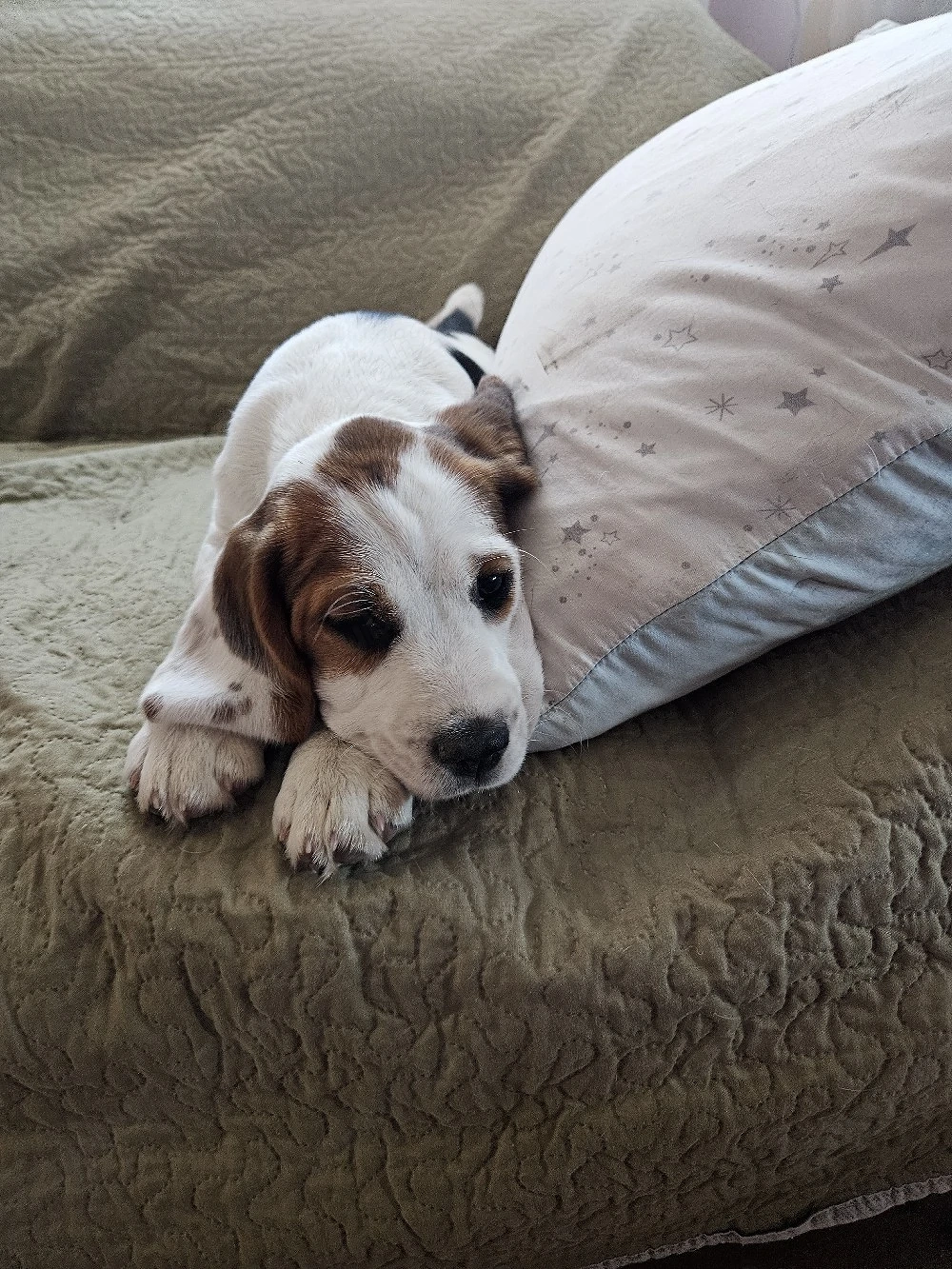 Doar o fetita disponibila 