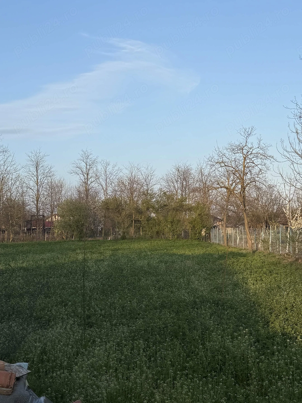 Teren Intravilan 1.000 mp, Cuza Vodă