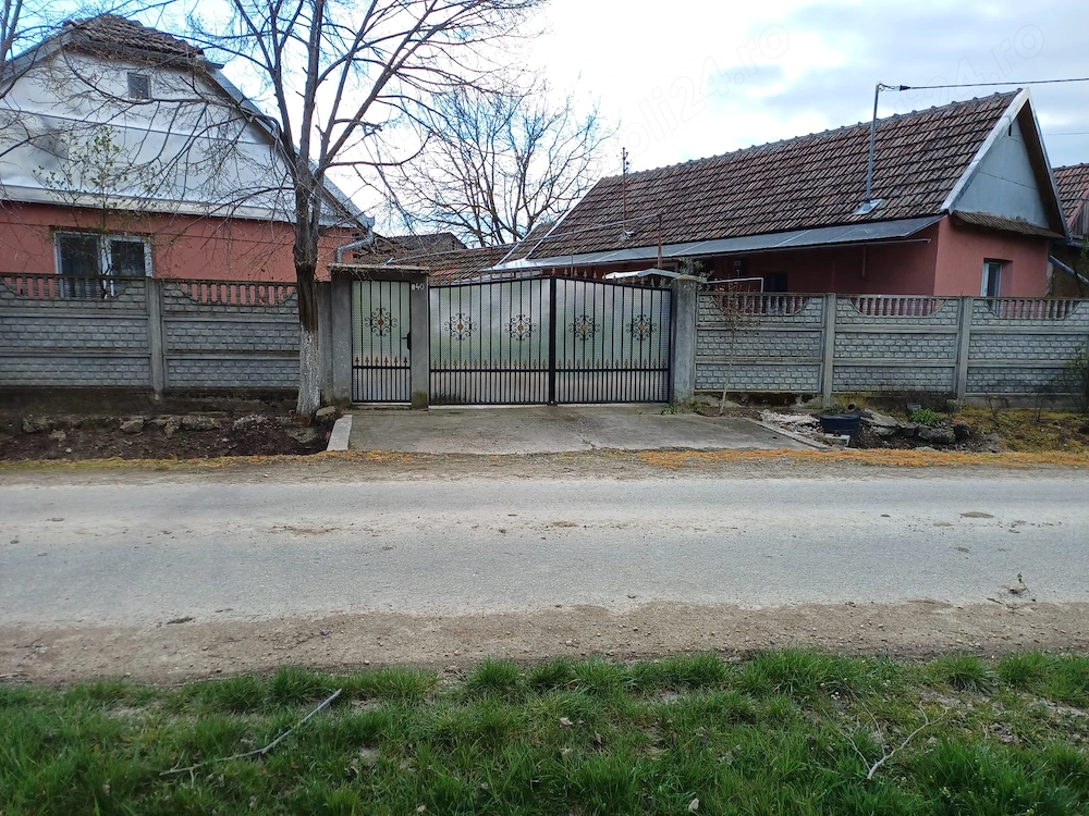 Vand casa la tara