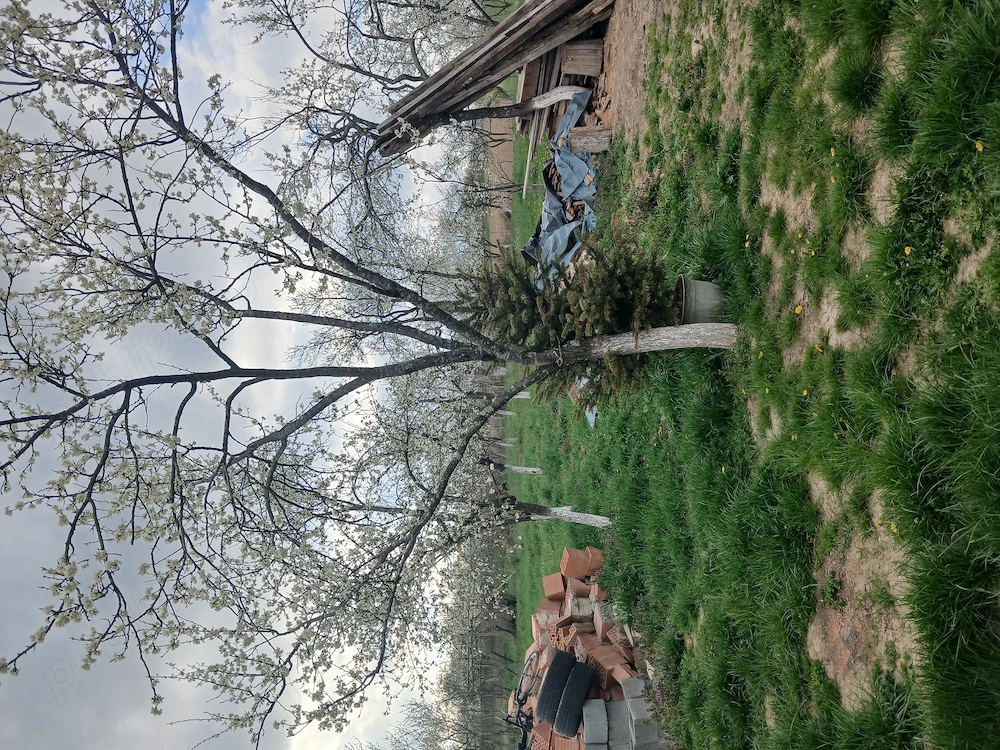 Casa de vanzare constructie noua 