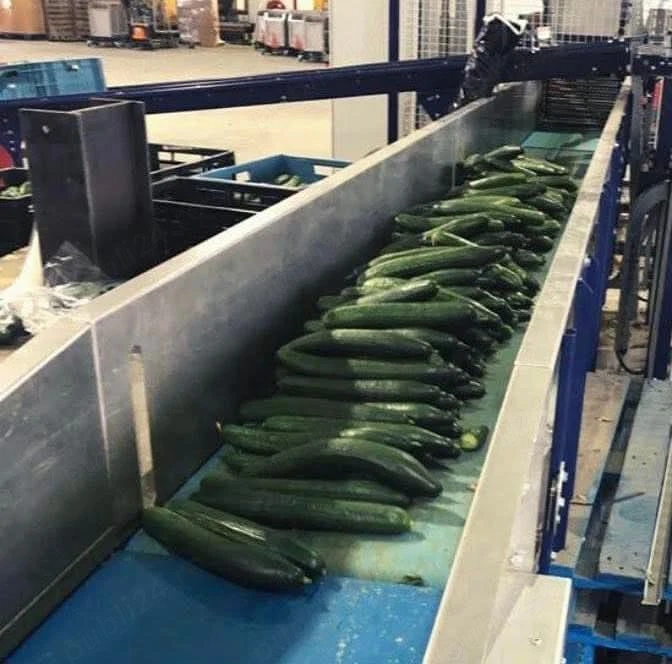 Se caută  4  cupluri serioase la sortat