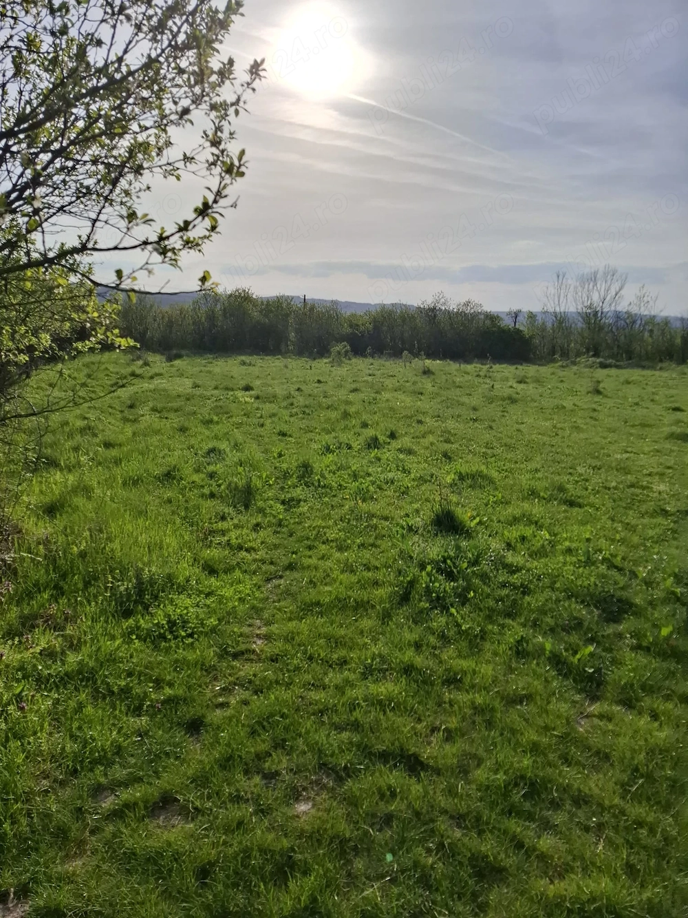 Vand gradina pentru casa sau livadă, 2350m 