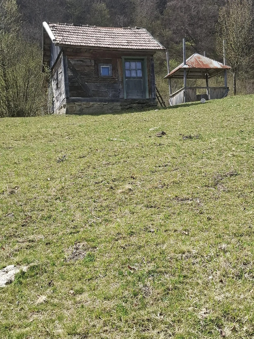Vand teren in MARAMUREȘ Valea Viseului