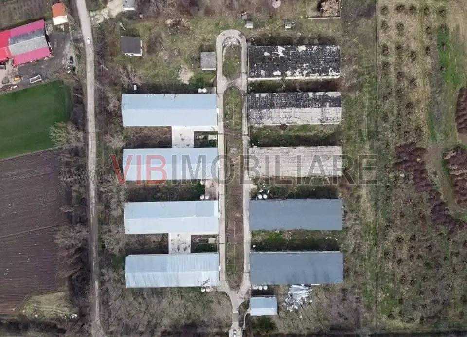 *Proprietate industrială | Fermă avicolă | Teren 35.000 mp | Hale și utilități existente