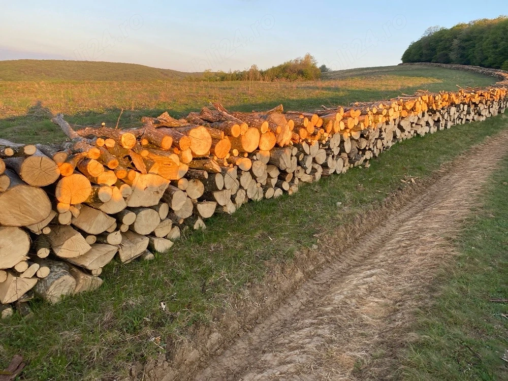 vand lemne de foc 