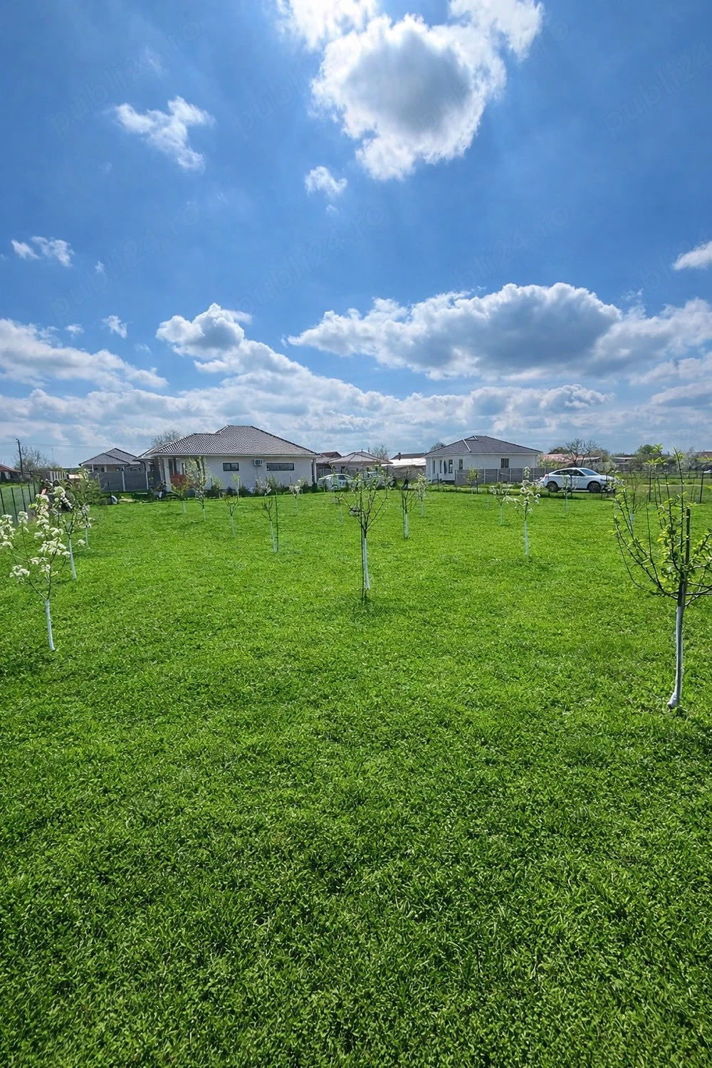 Teren de vânzare Pădureni, lânga Timișoara