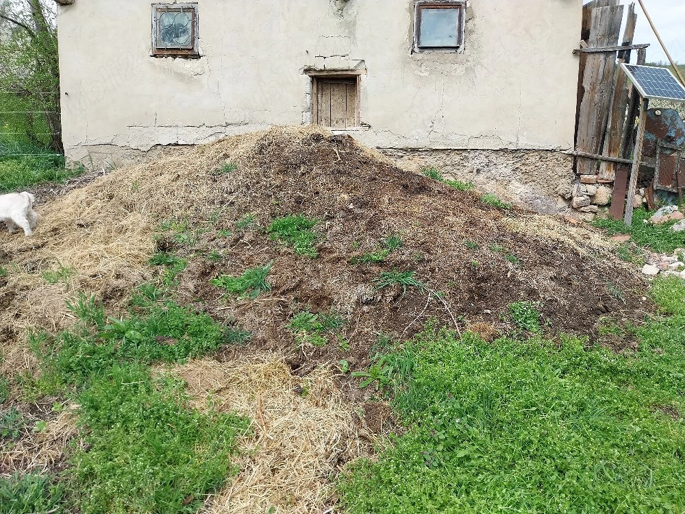 Gunoi de grajd putred, ingrasamant, compost