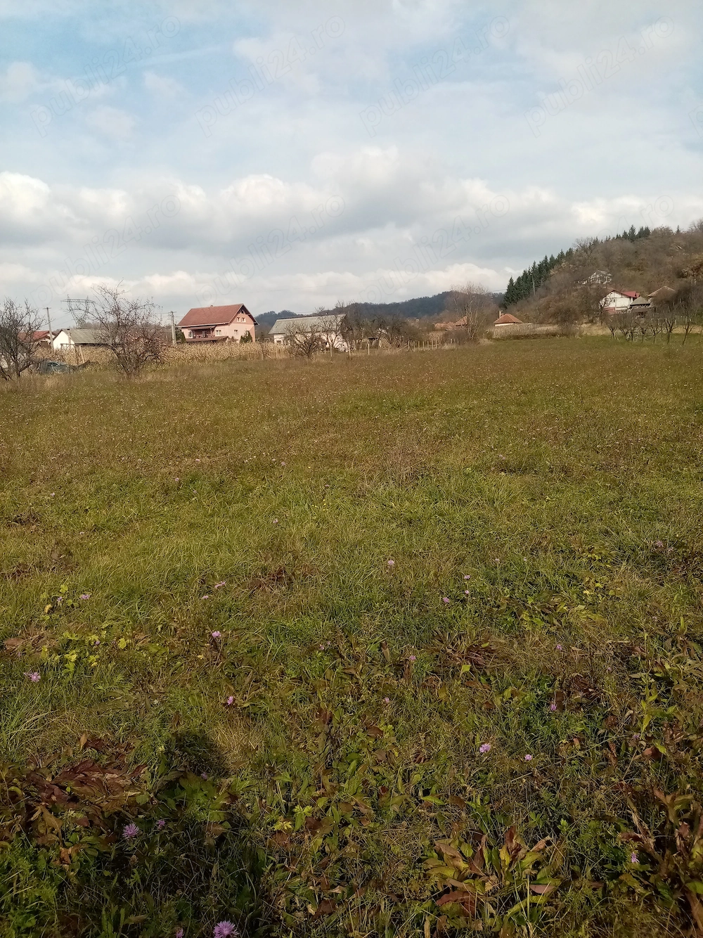 OFERTĂ Teren de vânzare 