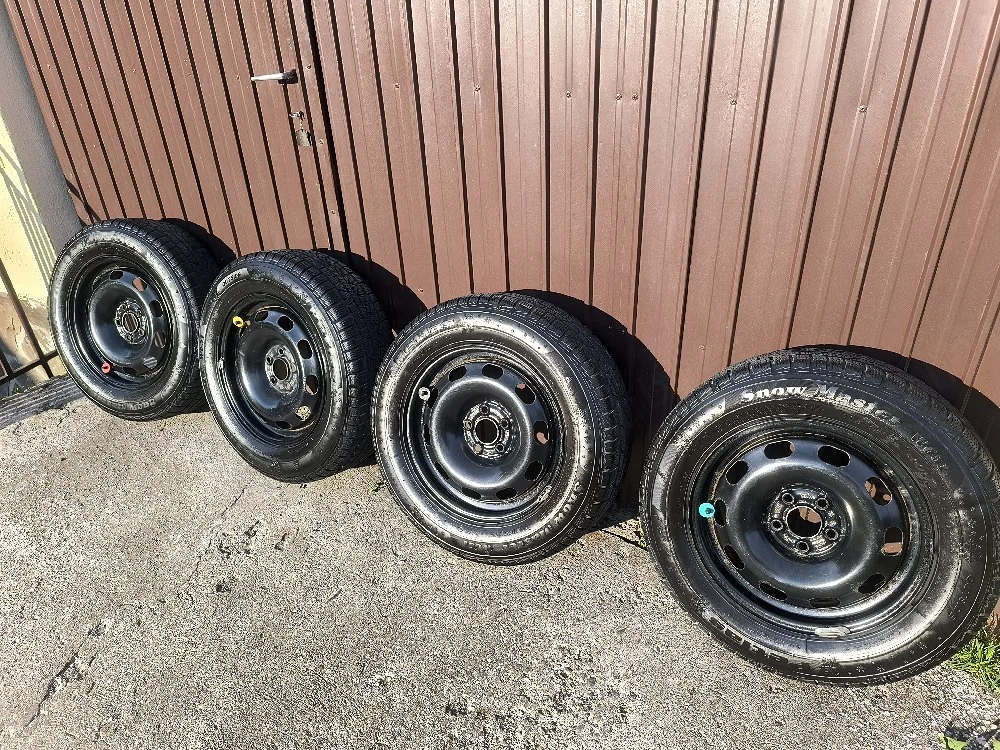 Vand set roti iarna 195/65 R15