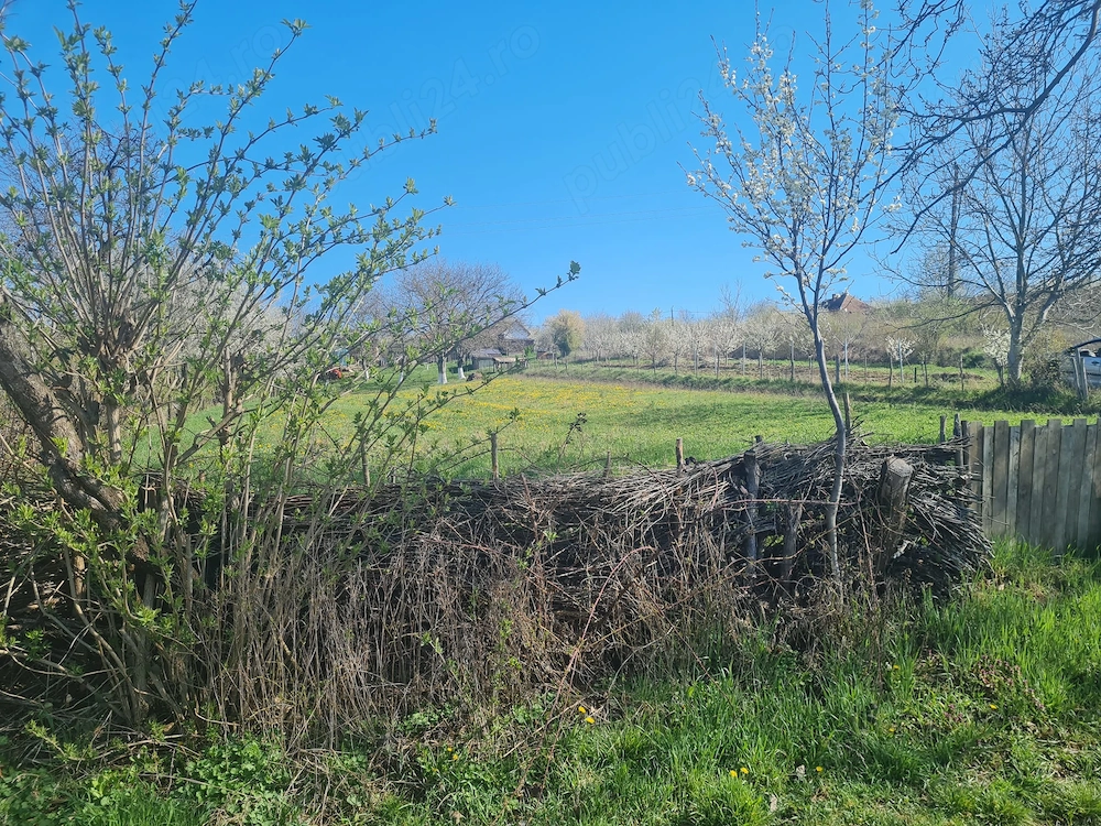 Gradina intravilan 16 arii