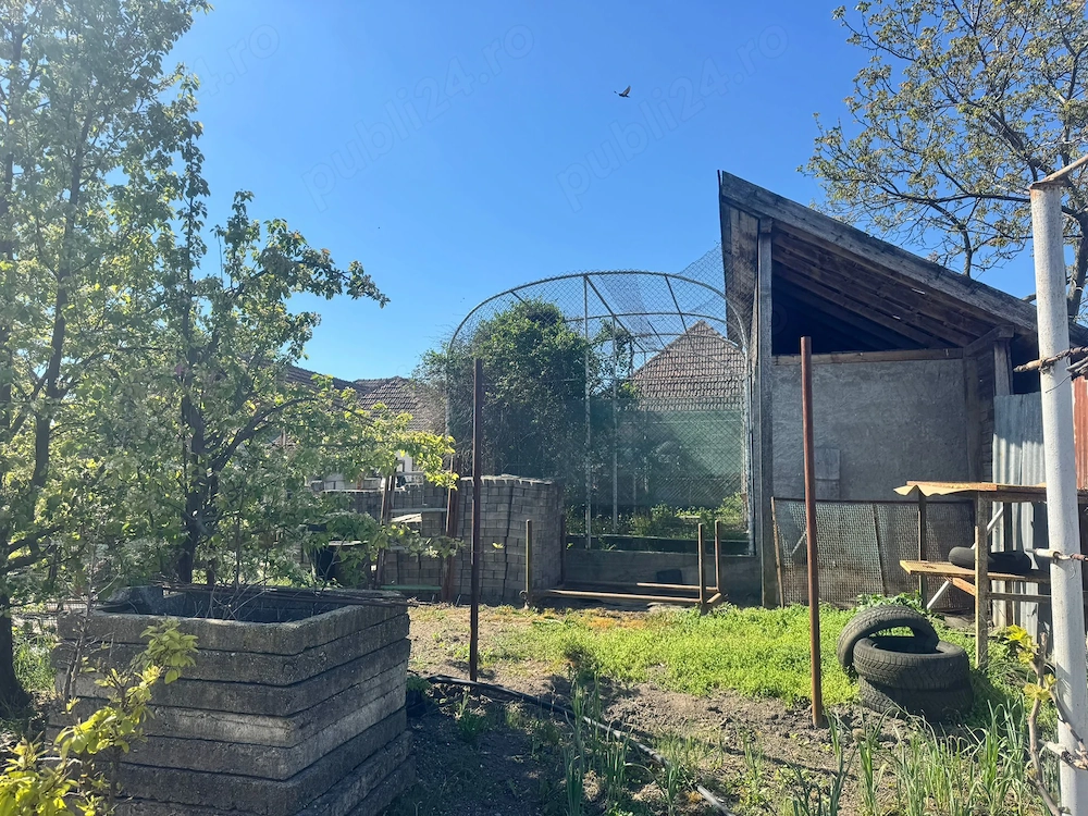 Casa Batraneasca -Varias.