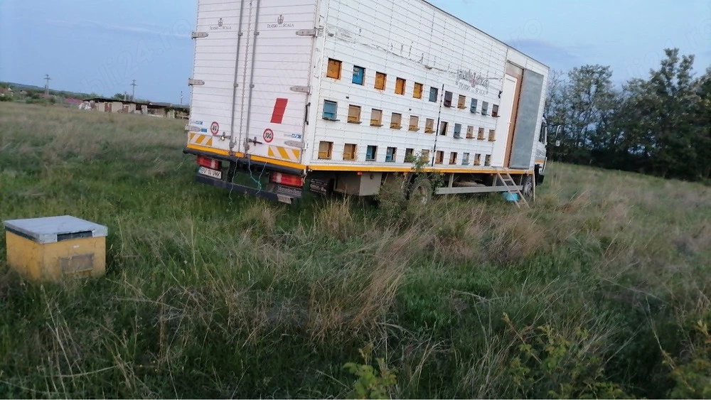 Camion apicol Mercedes Atego