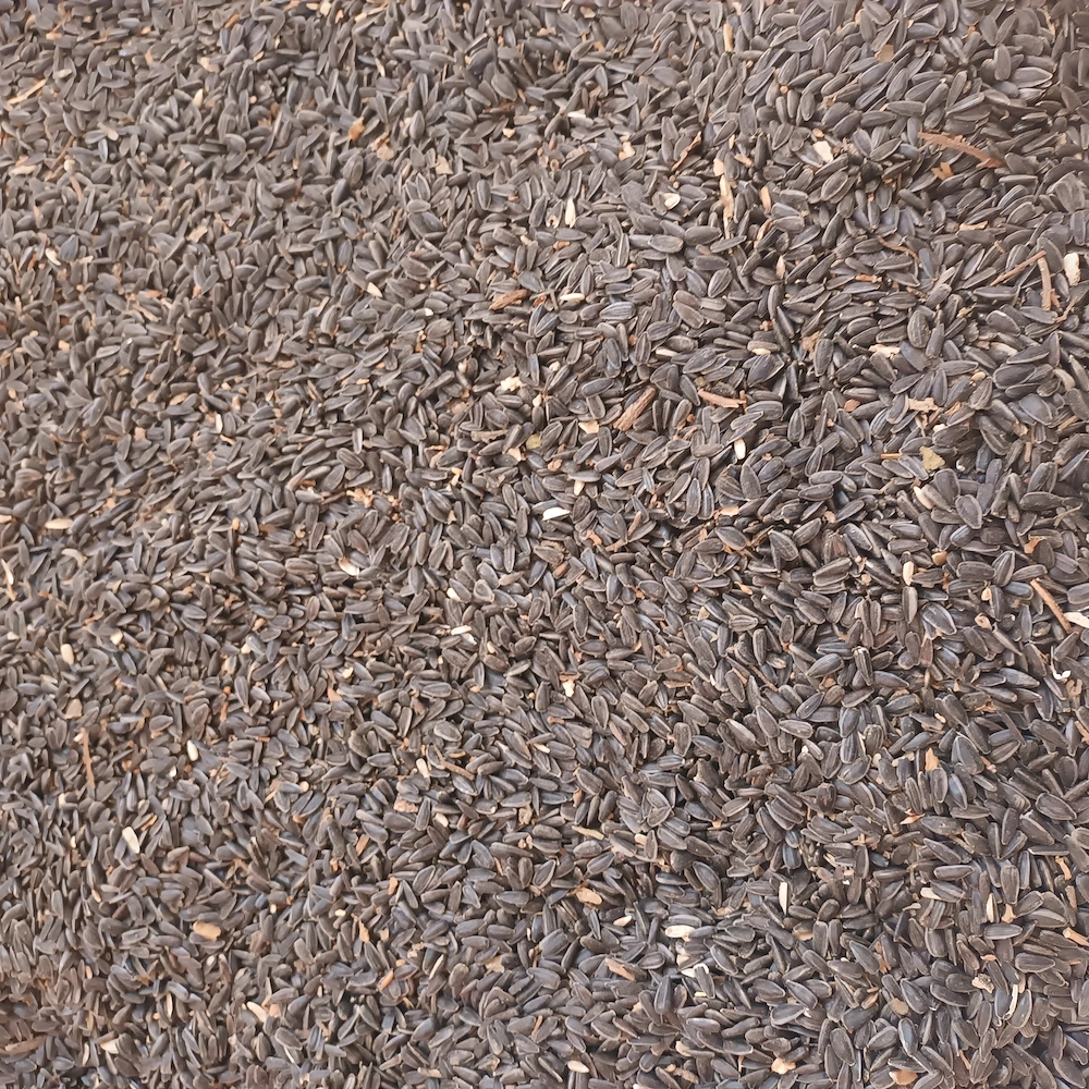 Vand Floarea-Soarelui