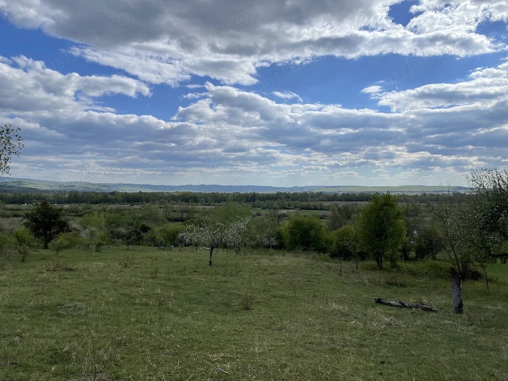 Teren extravilan Ocolis - 6864 mp