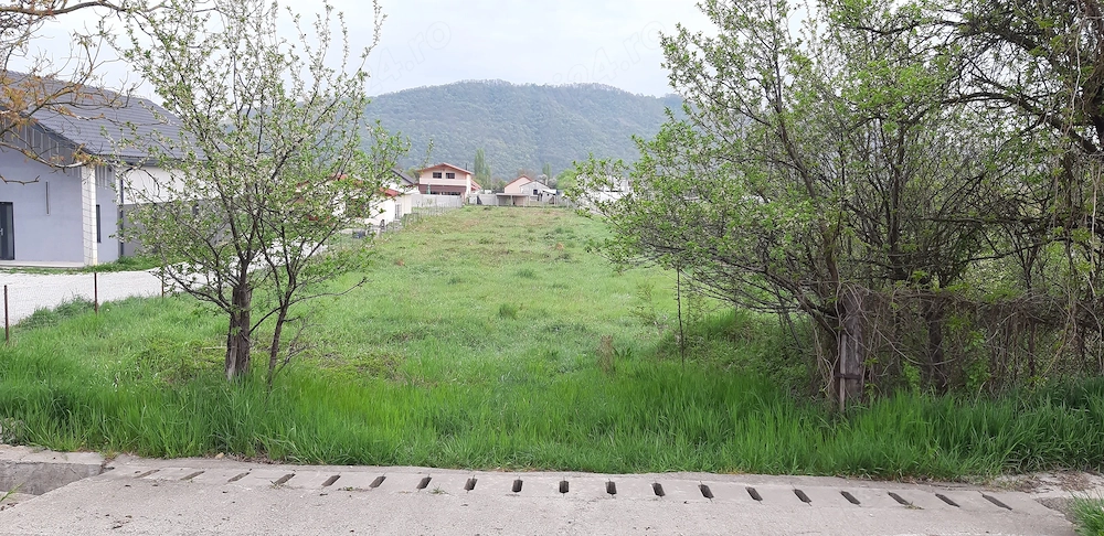 Propietar vand teren intravilan  pt  casa, seră,  s-au hala 2000 MP In Vetel