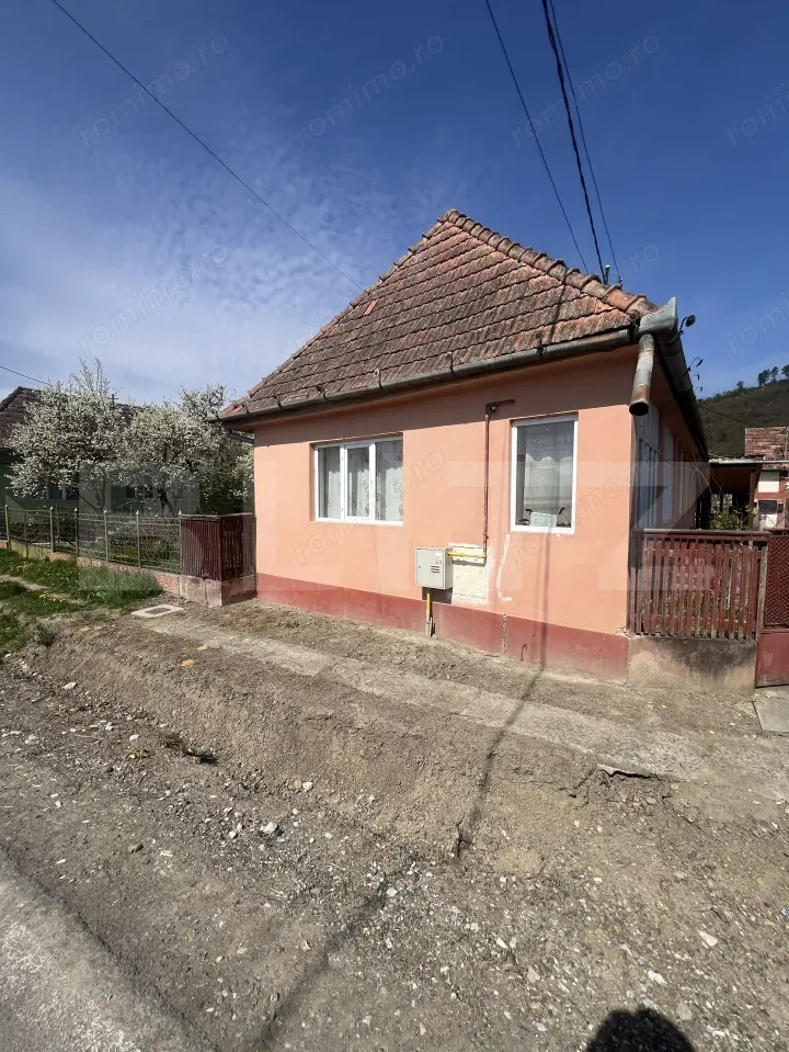 Casă tradițională cu gospodărie și teren de 1263 mp – Dileul Nou